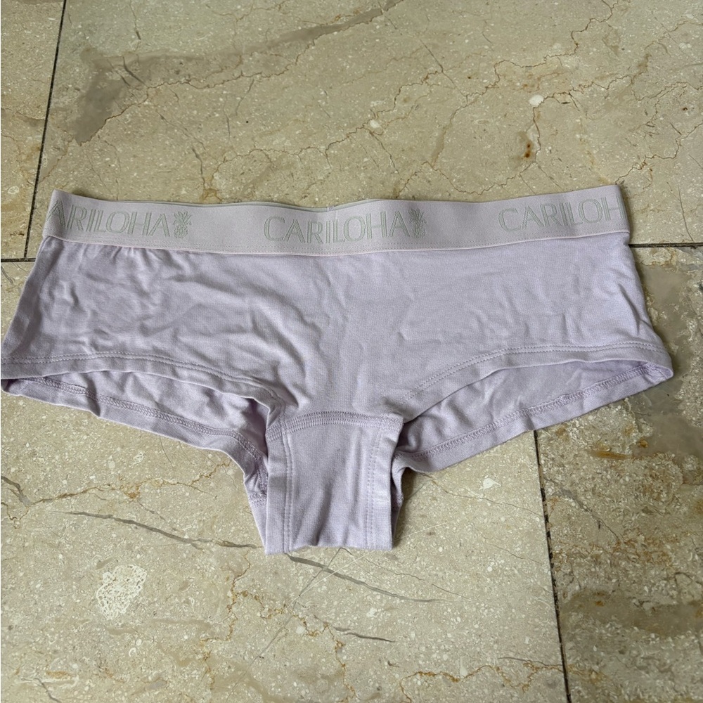 Cariloha Lavender hipster panties, size medium. New in package.